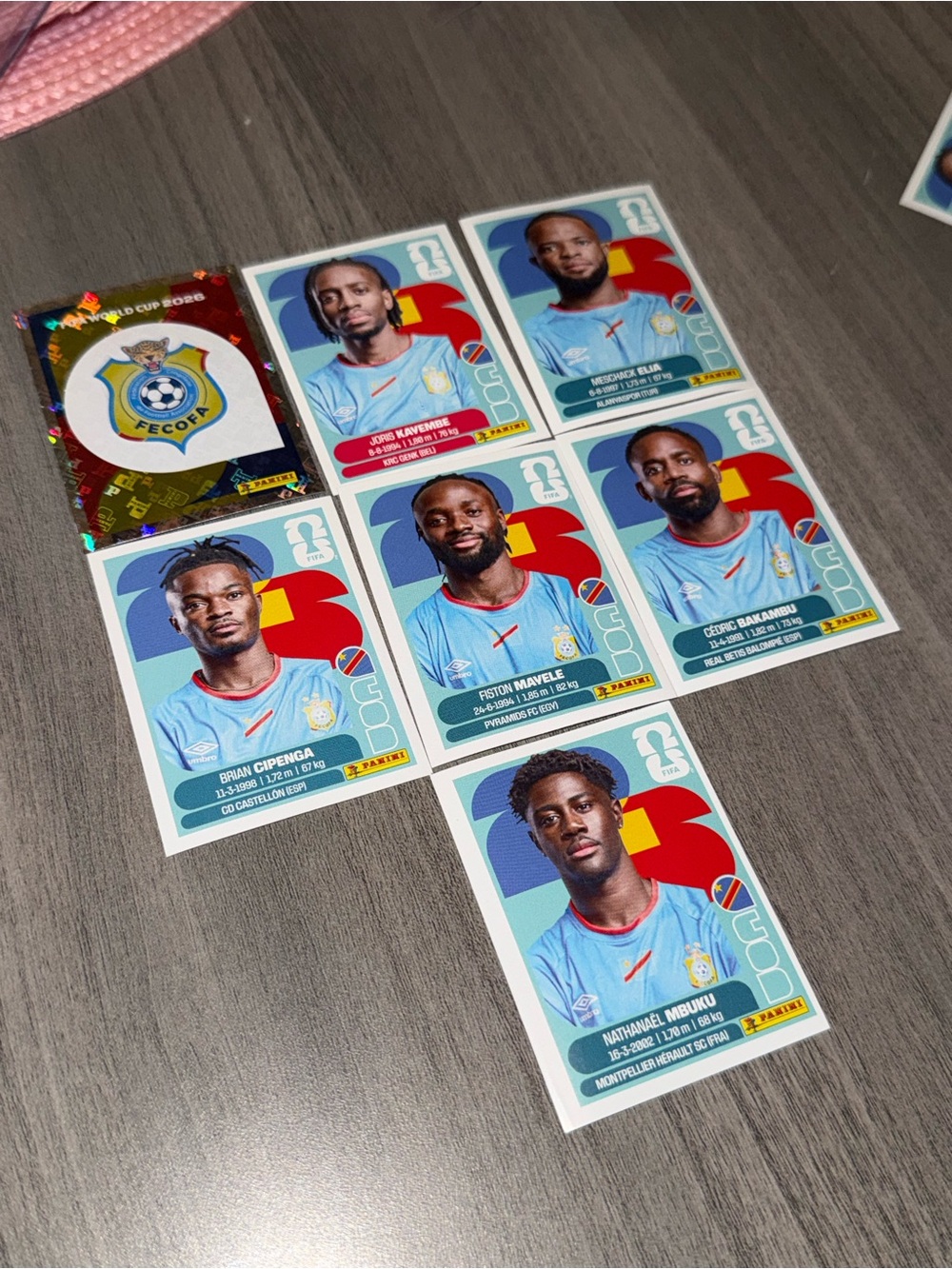 Panini COD FIFA World Cup Sticker Collection